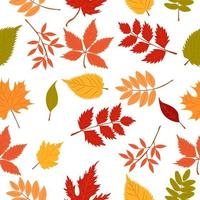 modèle d'automne avec des feuilles d'automne. modèle d'automne pour la conception d'automne vecteur