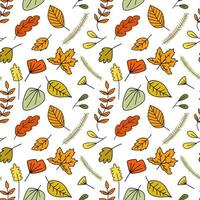 motif de doodle sans couture avec des feuilles colorées d'automne de la forêt et des branches d'épinette. illustration vectorielle dessinée à la main pour le tissu, le textile, les arrière-plans, le papier d'emballage cadeau, etc. vecteur