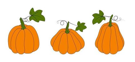 illustration vectorielle. ensemble de citrouilles mignonnes de différentes formes isolées sur blanc. clipart de doodle simple dessiné à la main dans un style branché. thème d'Halloween. pour le menu, le logo, la bannière alimentaire, les cartes, le motif. vecteur