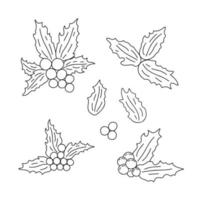 feuilles de plantes de houx et baies vacances d'hiver traditionnelles illustration vectorielle de contour simple, joyeux décor de noël pour les célébrations de fin d'année, réunions de famille, motif d'art de ligne d'humeur festive vecteur