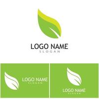création de logo nature illustration feuille verte vecteur