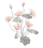 plante tendance aquarelle. illustration vectorielle pour le web, l'application et l'impression. fleurs de lotus isolées floristiques de forme féminine élégante. jardin, élément floral botanique et minimaliste. vecteur