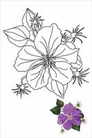 fleur en style doodle, livre de coloriage de fleurs climatis avec des fleurs pour enfants et adultes vecteur