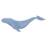 animal baleine grise vecteur