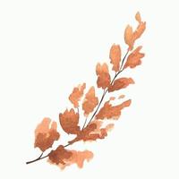illustration vectorielle aquarelle d'un élément floral d'automne. illustrations botaniques d'automne. branches d'automne orange et jaune avec des feuilles vecteur