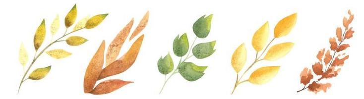 ensemble aquarelle de belles feuilles d'automne colorées en vecteur. illustration d'automne dessinée à la main. mis en évidence sur un fond blanc. adapté à la conception d'automne vecteur