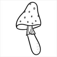 champignon agaric tue-mouche. illustration de griffonnage. champignons poison dessinés à la main amanita muscaria. un champignon toxique dangereux pour faire des potions vecteur