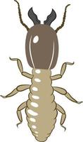 termite vue de dessus illustration 2d vecteur