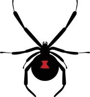 araignée vue de dessus illustration 2d vecteur
