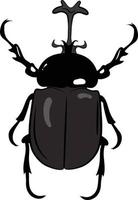 rhinocéros beetle vue de dessus illustration 2d vecteur