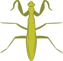 mantis vue de dessus illustration 2d vecteur