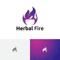 feu à base de plantes médecine naturelle traditionnelle flamme logo médical vecteur