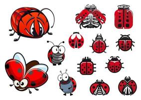 coccinelles, coccinelles et coléoptères insectes de dessin animé vecteur