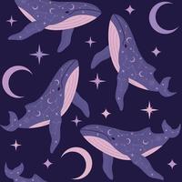 baleines avec constellations vecteur