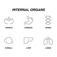 notion d'anatomie. jeu d'icônes de ligne d'organes internes. traits modifiables. icônes de ligne des reins, de l'estomac, des épines, du globe oculaire, du foie, des poumons vecteur