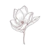 fleur dessinée à la main croquis ligne art illustration vectorielle vecteur