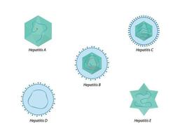 virus de l'hépatite du foie. structure des virus de l'hépatite a, b, c, d, e vecteur