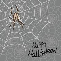 fond de vecteur de joyeux halloween avec toile d'araignée et araignée