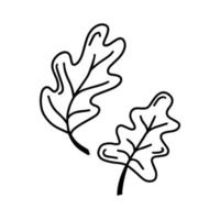 mignon doodle automne vecteur feuille de chêne isolé sur blanc sur fond blanc. illustration vectorielle dessinée à la main pour la page de coloriage et les livres d'art pour adultes et enfants.