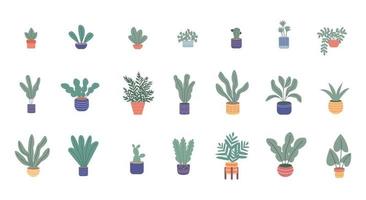 ensemble de différentes plantes d'intérieur. ficus, monstera, protea, pellaea, succulent dans un vase en pot. déco cosy scandinave. illustration de dessin animé de vecteur plat isolé sur blanc