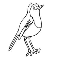 un oiseau dessiné avec un contour à la main vecteur
