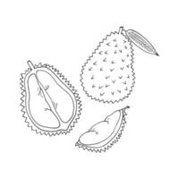 ensemble de fruits durian d'éléments dessinés à la main dans un style doodle. icône, autocollant, étiquette vecteur