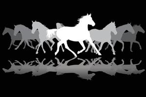 silhouette de chevaux au trot blanc sur fond noir vecteur