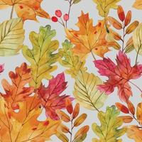 feuilles automne modèle aquarelle vecteur