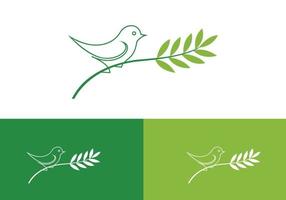 il s'agit d'un logo d'oiseaux volants pour votre entreprise vecteur
