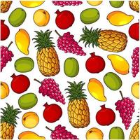 modèle sans couture de fruits frais sains vecteur