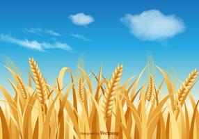 Paysage vectoriel libre de tiges de blé