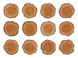 troncs d'arbres, souches de bois coupées avec cercles annuels vecteur