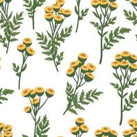 motif de fleurs de tanaisie sauvage. texture du tanacetum vulgare. plante médicinale herbacée à fleurs, herbes et fleurs jaunes. fond de vecteur plat