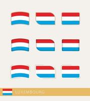 drapeaux vectoriels du luxembourg, collection de drapeaux luxembourgeois. vecteur