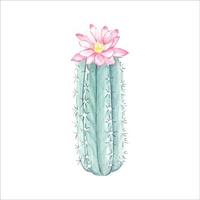 cactus en fleurs aquarelle, isolé vecteur