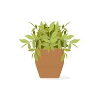 plante d'intérieur en pot avec des feuilles vertes. plante d'intérieur en pleine croissance. illustration vectorielle isolée sur fond blanc vecteur