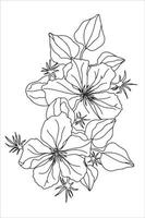 climatis fleurs en style doodle, livre de coloriage avec des fleurs pour enfants et adultes 1 vecteur