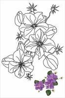 livre de coloriage de fleurs climatis avec des fleurs pour enfants et adultes, fleur en style doodle vecteur