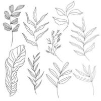 un ensemble de fleurs et de feuilles linéaires dessinées à la main sur un fond blanc isolé. illustration vectorielle vecteur