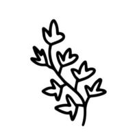 plante de citrouille de vecteur avec des feuilles isolées. branche de doodle avec des feuilles isolées