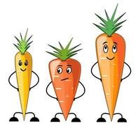 personnages de dessins animés drôles de carottes en technique plate vecteur