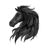 Portrait de profil de cheval noble noir vecteur