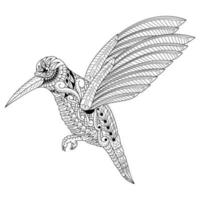 dessin au trait oiseau colibri vecteur