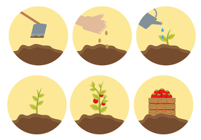 Cycle de cycle de vie des plantes libre vecteur