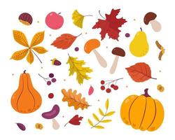 un ensemble de feuilles d'automne, de champignons, de citrouilles, de pommes et de baies aux couleurs vives. isolé sur fond blanc. style plat de dessin animé simple. illustration vectorielle mignonne. vecteur