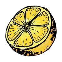 vecteur citron clipart. icône d'agrumes dessinés à la main. illustration de fruits. pour l'impression, le web, le design, la décoration