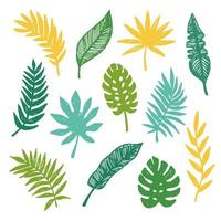 ensemble de feuilles tropicales vectorielles vecteur
