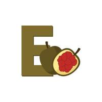 lettre e alphabet fruits entawak, vecteur de clip art, illustration isolé sur fond blanc