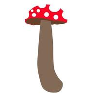 caractère champignon. illustration de champignon, personnage de mascotte de champignon vecteur