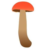 caractère champignon. illustration de champignon, personnage de mascotte de champignon vecteur